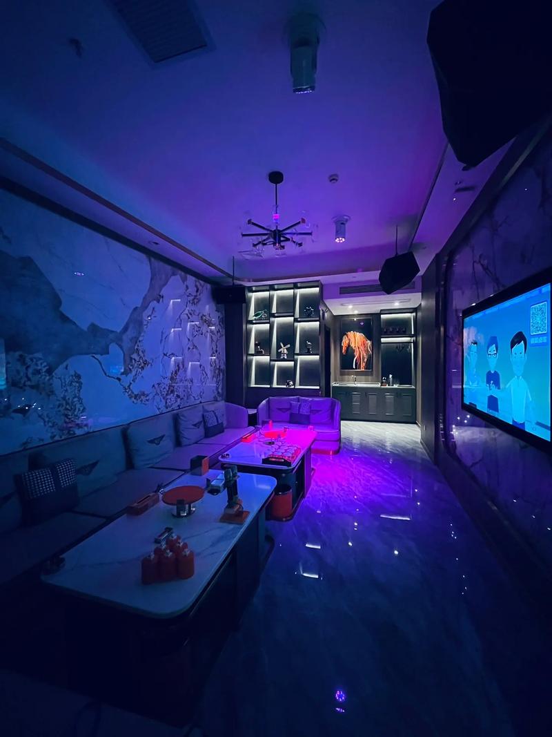 漯河商务ktv中低端风，欢歌笑语共饮一杯街。-临颍县ktv预定